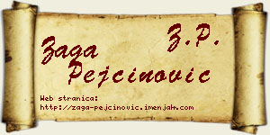 Zaga Pejčinović vizit kartica